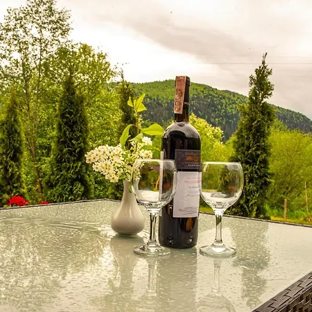 купецький двір * Mizhhirya (Transcarpathia)