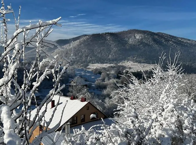 купецький двір Mizhhirya (Transcarpathia)