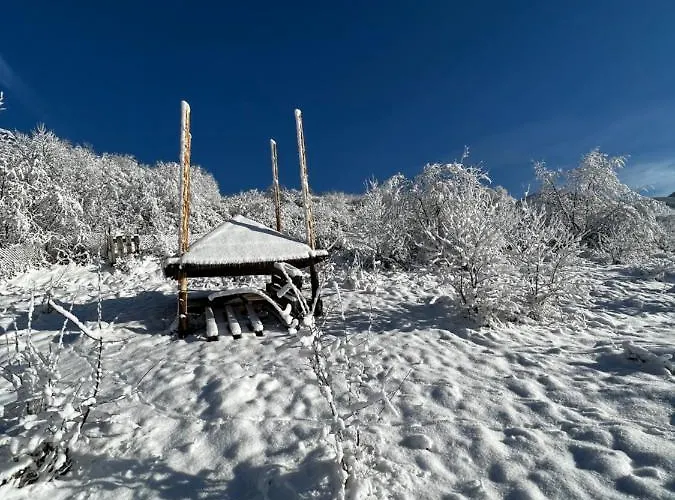 Hotel купецький двір Mizhhirya (Transcarpathia)