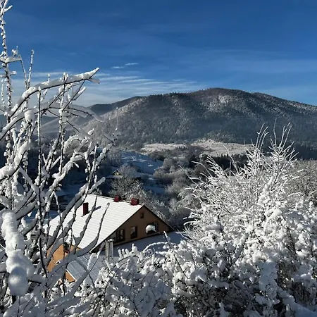 купецький двір Mizhhirya (Transcarpathia)