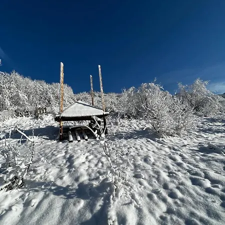 Hotel купецький двір Mizhhirya (Transcarpathia)