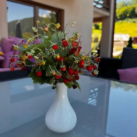 Hotel купецький двір *